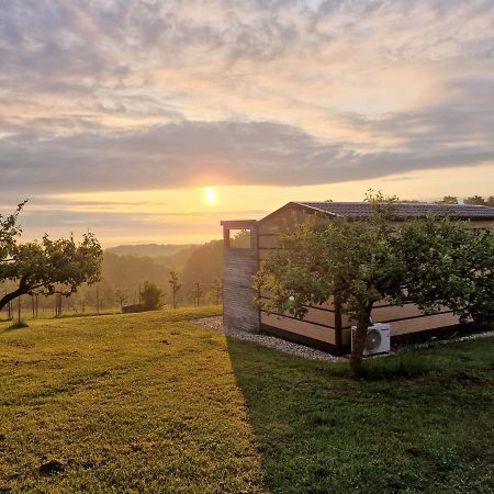 Vinea Panonika Wine & Mind Retreat Villa Radenci Exteriör bild