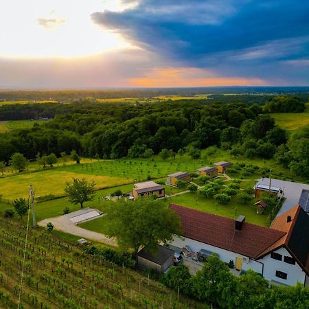 Vinea Panonika Wine & Mind Retreat Villa Radenci Exteriör bild