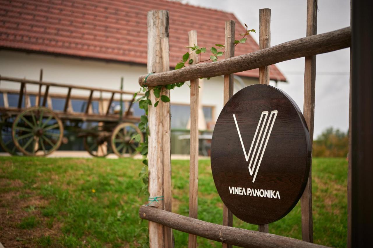Vinea Panonika Wine & Mind Retreat Villa Radenci Exteriör bild