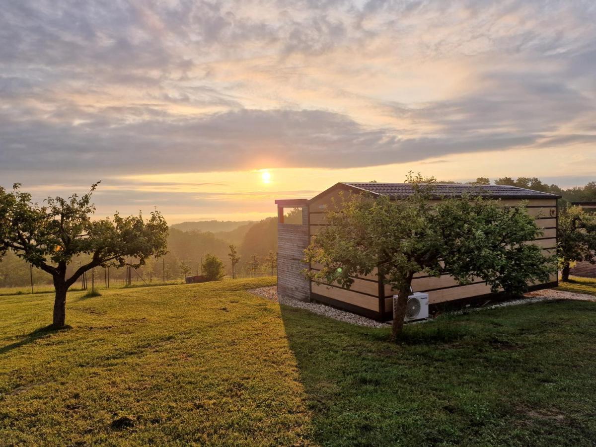 Vinea Panonika Wine & Mind Retreat Villa Radenci Exteriör bild